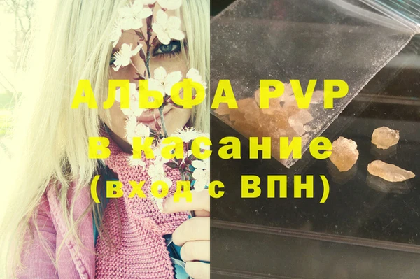 гашик Белоозёрский