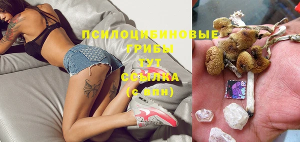 mdma Белокуриха