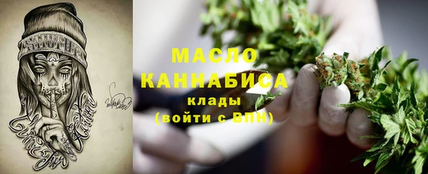 стаф Корсаков