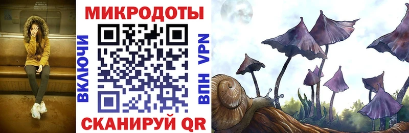 Галлюциногенные грибы GOLDEN TEACHER  закладка  Кодинск 